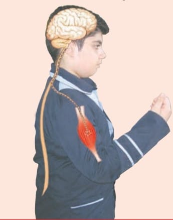گفت‌وگو صفحه ۴۴ علوم پنجم