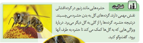 فعالیت صفحه 75 علوم هشتم