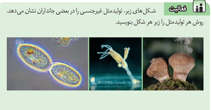 فعالیت صفحه 69 علوم هشتم