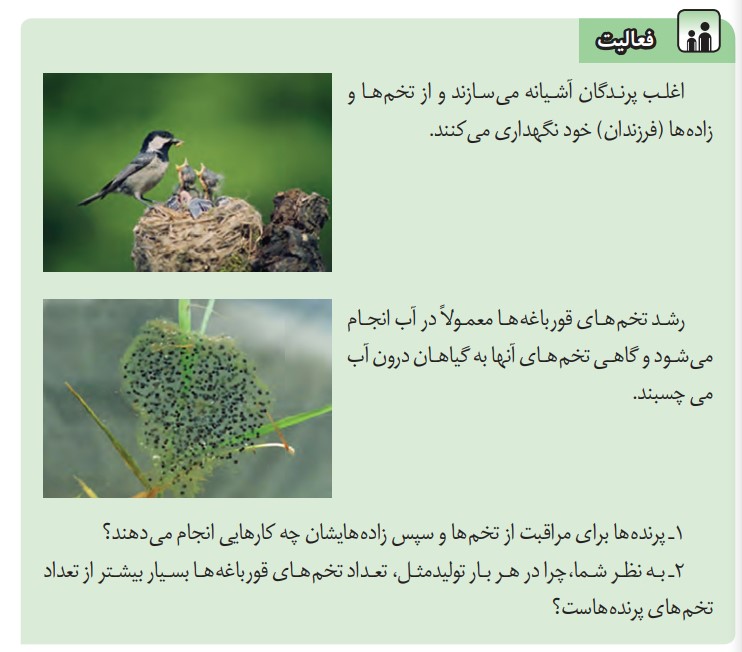 فعالیت صفحه 72 علوم هشتم *