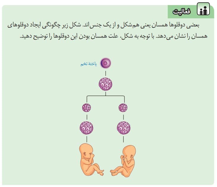 فعالیت صفحه 73 علوم هشتم *