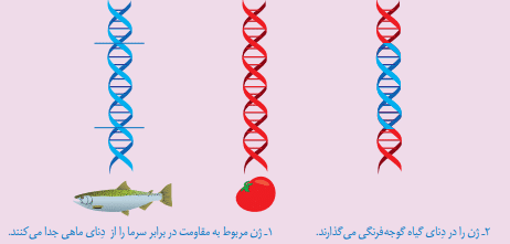 فکر کنید صفحه 62 علوم هشتم
