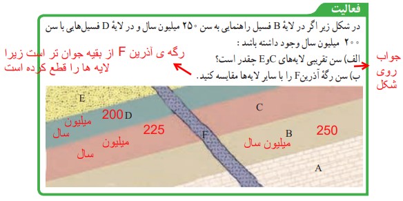 فعالیت صفحه 81 علوم نهم